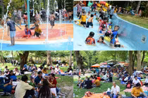 Mùng 2 Tết Kỷ Hợi: Trẻ thích thú, người lớn “đuối” ở Thảo Cầm Viên ​