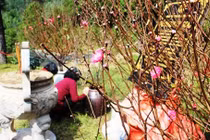 Khu mộ Đại tướng Võ Nguyên Giáp được giao cho gia đình quản lý