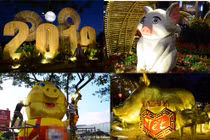 Muôn kiểu “heo vàng” ở đường hoa xuân khu đô thị lớn nhất TP HCM