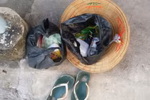 Người phụ nữ bán vé số nhảy cầu Cần Thơ tự tử