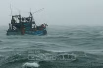 Bão số 1 cách Cà Mau 400km, hơn nghìn tàu cá vẫn trên biển