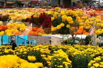 Ngày 30 Tết, người buôn hoa “nín thở” chờ khách