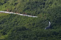 Video: “Rắn hổ mây” khổng lồ trườn trên sườn núi Việt Nam