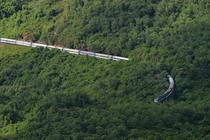 Video: “Rắn hổ mây” khổng lồ trườn trên sườn núi Việt Nam