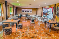 Video: Phát sốt với quán cà phê cá Koi có một không hai này