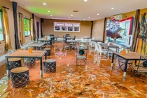 Video: Phát sốt với quán cà phê cá Koi có một không hai này