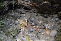 Video: Đứng hình khi xem những hòn đá kỳ quái biết “sinh con đẻ cái“