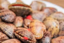 Ăn sò lụa đỏ khiến 4 người thương vong chỉ là tin đồn thất thiệt