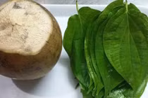 Khám phá bài thuốc từ lá trầu trị dứt điểm bệnh gút