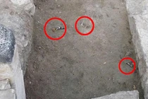 Sự thật về ngôi đền tử thần, đoạt mạng bất kỳ sinh vật nào lại gần