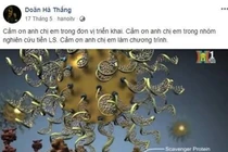 Bộ Y tế đề nghị đóng Facebook TS Doãn Hà Thắng quảng cáo nano vàng