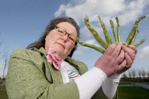 Nhà tiên tri có tỷ lệ chính xác 80% dự đoán về năm 2018