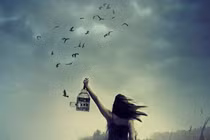 4 điều bạn nên buông bỏ ngay lập tức để được bình thản và hạnh phúc