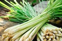 9 thực phẩm ăn thường xuyên muỗi chắc chắn tránh xa