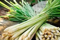 9 thực phẩm ăn thường xuyên muỗi chắc chắn tránh xa