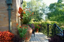 Tiếng nấc nghẹn trong ngôi nhà của ông chủ vườn lan 