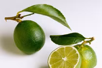 Video: Ăn 117 miếng chanh chua đến rộp cả lưỡi để lấy 18 triệu đồng