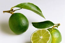 Video: Ăn 117 miếng chanh chua đến rộp cả lưỡi để lấy 18 triệu đồng