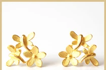 Không niêm yết giá vàng mua vào-bán ra hàng ngày, Prima Gold có thể bị phạt đến 60 triệu?