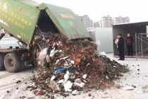 Bới 13 tấn rác, tìm được nhẫn kim cương 380 triệu đồng