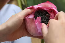 Video: Choáng váng khi biết trà sen Hà Nội giá chục triệu đồng được làm thế này