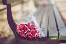 Dự đoán ngày mới 12/2/2018 của 12 con giáp