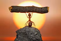 Khi con người gặp khó khăn, hãy nhớ lấy 6 câu này