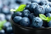 Tác dụng phụ ít ai ngờ khi ăn quá nhiều quả việt quất