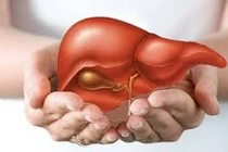  Video: Giải độc gan chỉ 2.000 đồng mỗi ngày, ai không biết phí cả đời