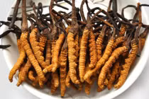 70% đông trùng hạ thảo là hàng giả, kém chất lượng