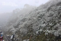 Video: Tuyết rơi phủ trắng đèo Ô Quy Hồ, Sapa