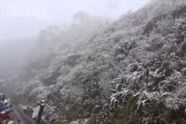 Video: Tuyết rơi phủ trắng đèo Ô Quy Hồ, Sapa