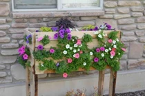 Khu vườn rau đẹp lý tưởng từ những tấm pallet suýt vứt bỏ