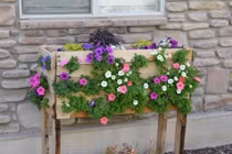 Khu vườn rau đẹp lý tưởng từ những tấm pallet suýt vứt bỏ