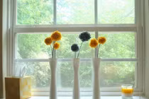 Ngắm thu qua lãng đãng bên khung cửa sổ đẹp mê hồn