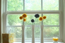 Ngắm thu qua lãng đãng bên khung cửa sổ đẹp mê hồn