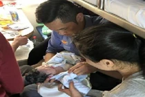 Video: Ly kỳ chuyện nam nhân viên đỡ đẻ cho sản phụ trên tàu hỏa