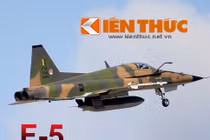 Infographic: Sức mạnh tiêm kích F-5E của Việt Nam
