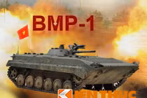 Infographic: Xe chiến đấu bộ binh nhiều nhất Việt Nam