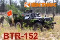 Infographic: Sức mạnh dàn “taxi chiến trường” của Việt Nam (1)