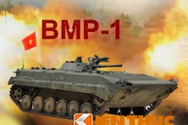 Infographic: Xe chiến đấu bộ binh nhiều nhất Việt Nam