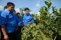 Thúc đẩy khởi nghiệp sáng tạo trong thanh niên khu vực Châu Á - Thái Bình Dương