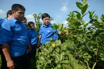 Thúc đẩy khởi nghiệp sáng tạo trong thanh niên khu vực Châu Á - Thái Bình Dương