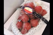 Tận mắt chùm nho Nhật giá 11 triệu “hút” nhà giàu Việt mạnh tay chi tiền