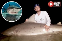 Bắt cá mập quái vật nguy hiểm nhất thế giới nặng gần 2 tạ