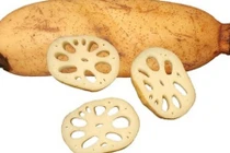 5 bài thuốc từ ngó sen chữa xuất huyết hiệu quả