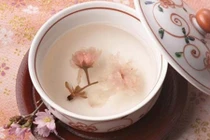 Top bài thuốc chữa bệnh tốt không ngờ từ hoa đào