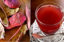 Bài thuốc cực hay chữa viêm loét dạ dày bằng vỏ lựu