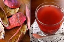 Bài thuốc cực hay chữa viêm loét dạ dày bằng vỏ lựu