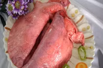 Thanh nhiệt giải độc với bài thuốc từ phổi động vật